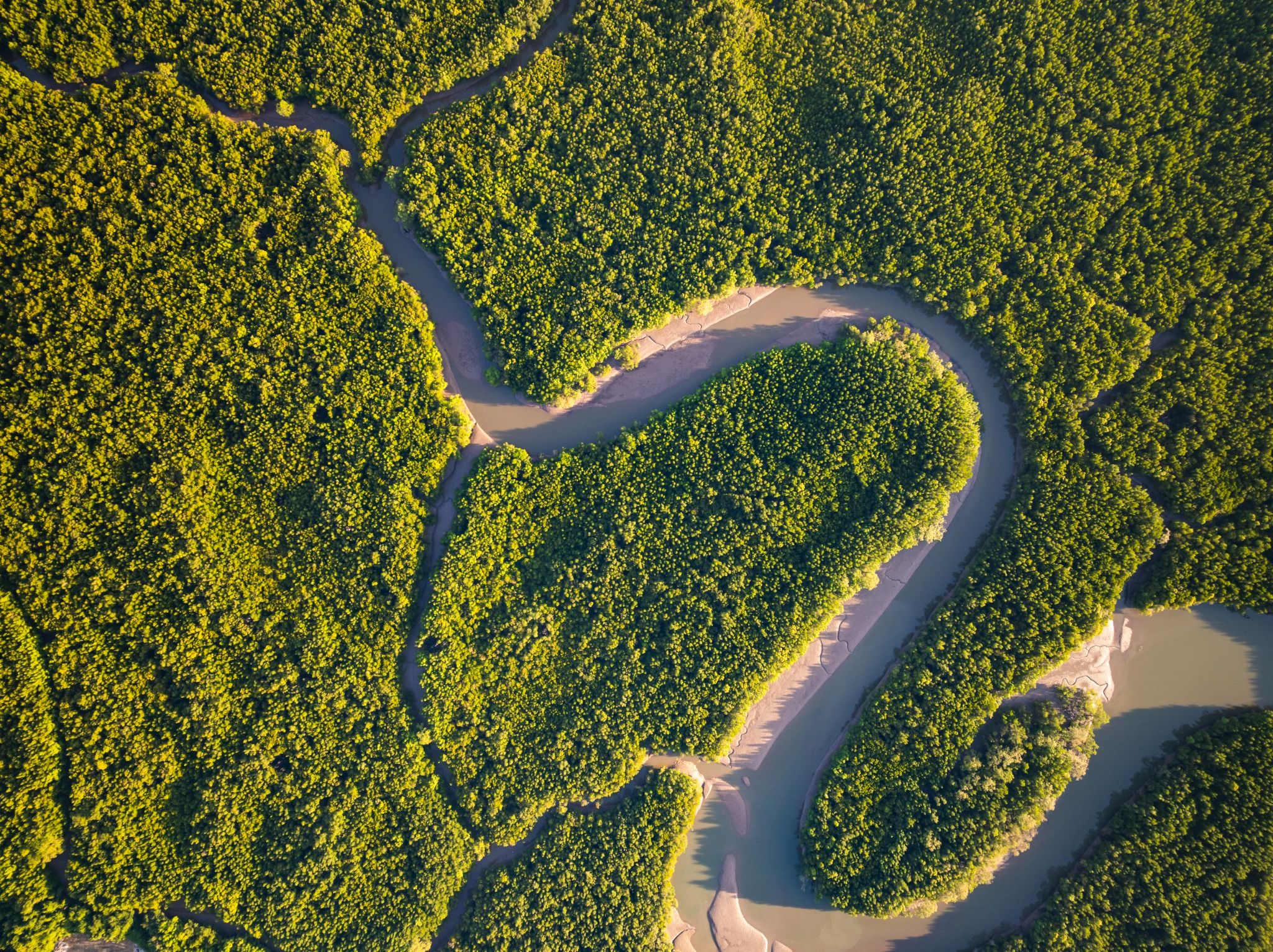 Compromisso ambiental PP Têxteis